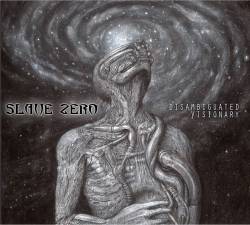 Slave Zero : Disambiguated Visionary